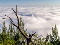 God’s Window